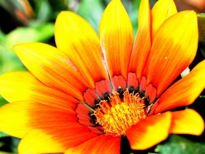 it's a brand new day