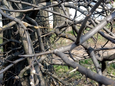 The day of crucial contacts. 