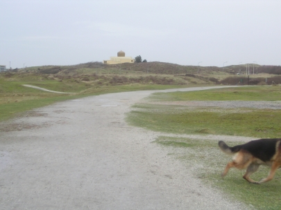 big and bad looking for red and hooded