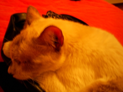 Arthur loves sundays