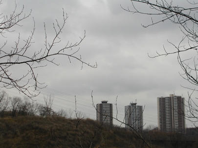 don valley