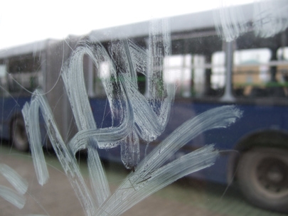 visiting the suburbs