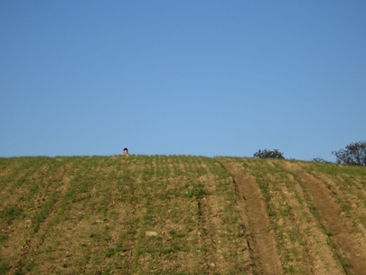 where�s your head at