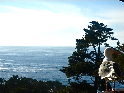 We Found New Home!!! 