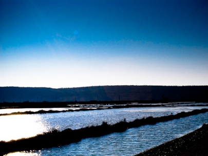 salt pans in piran (slovenia)