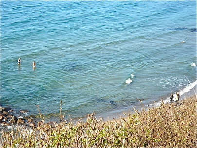 First Swim Observed in Scandinavia