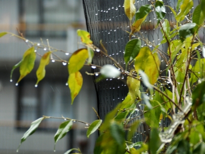 the best soundtrack while cooking with lovely people