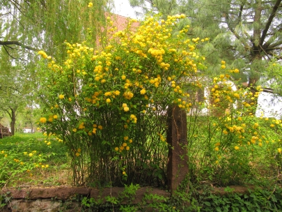 la Coll�giale de St. L�onard