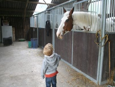 Big Horse Little Man