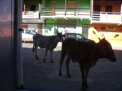 trying to get into the bank