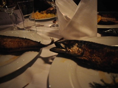 dinner on the danube, didn't see much of the danube