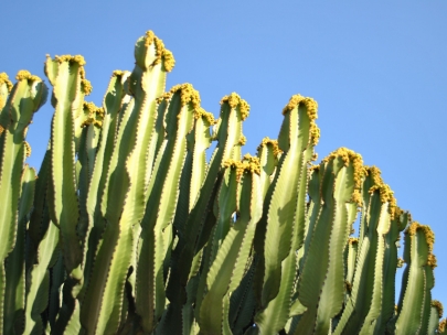 nos vamos a la costa del sol