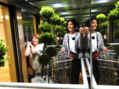 The adventure of taking my new tree home