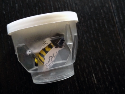 i wasn�t able to bee there :)