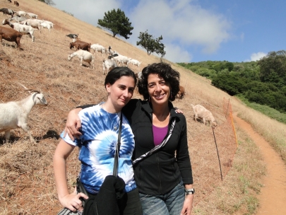 A rural day in Berkeley