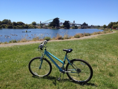 A ride to the Berkeley Marina with Light Blue