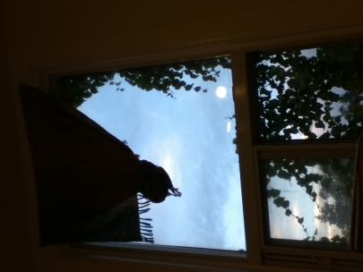 oliver still has the best windows