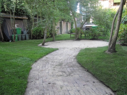 now we see the trees better 