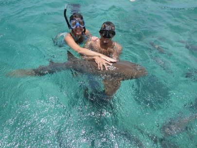 Touching nurse sharks