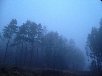 Mystic morning beauty