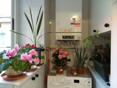 llenando a mi madre de flores porque s�