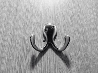 The lost octopus