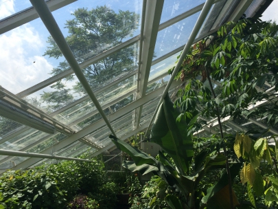 where the butterflies float